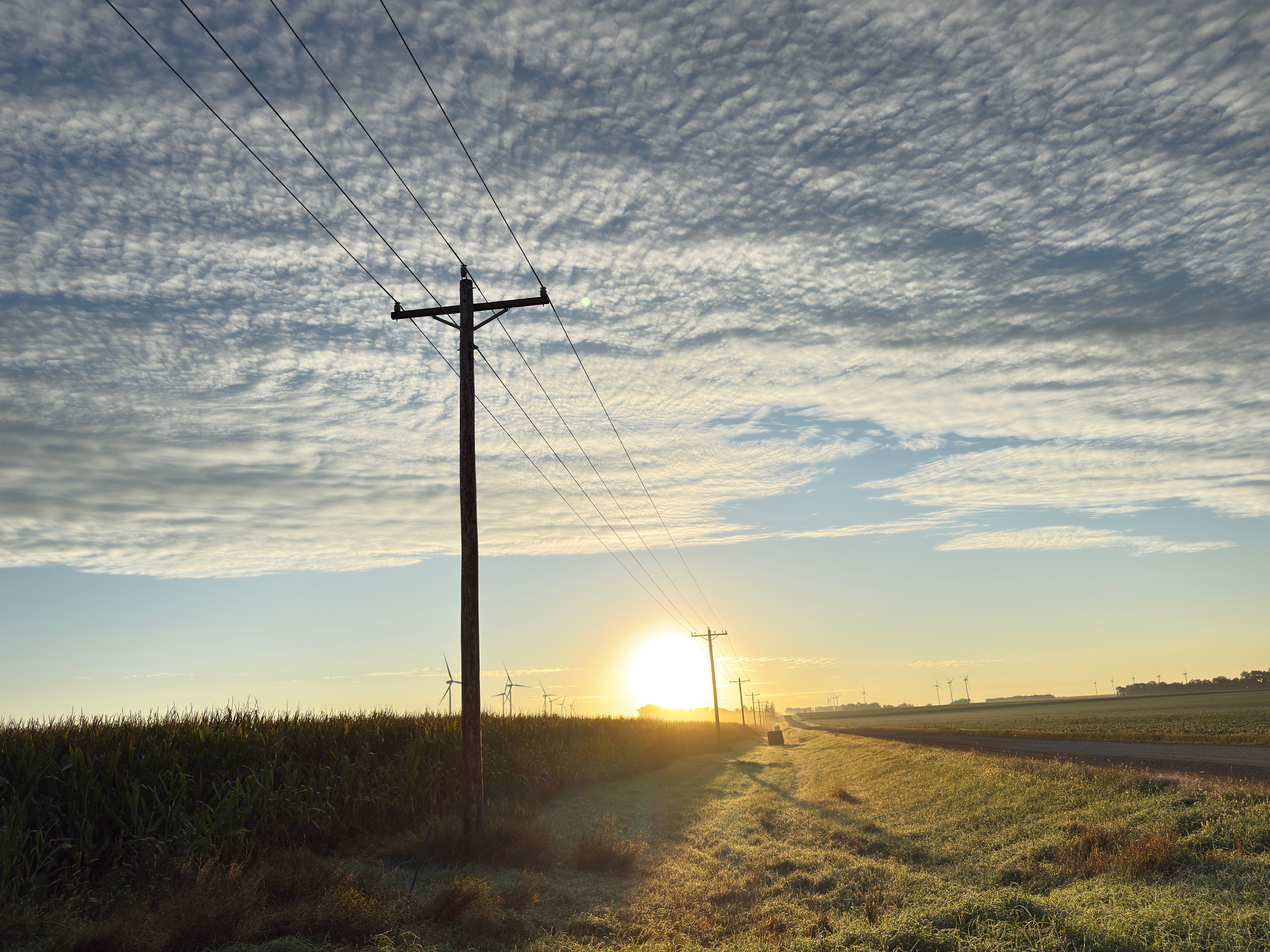 Powerlines and sunrise