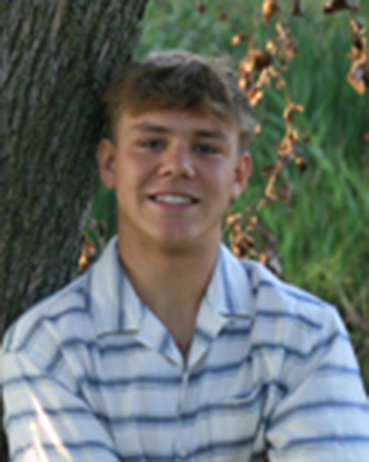 Brody Dosset mugshot
