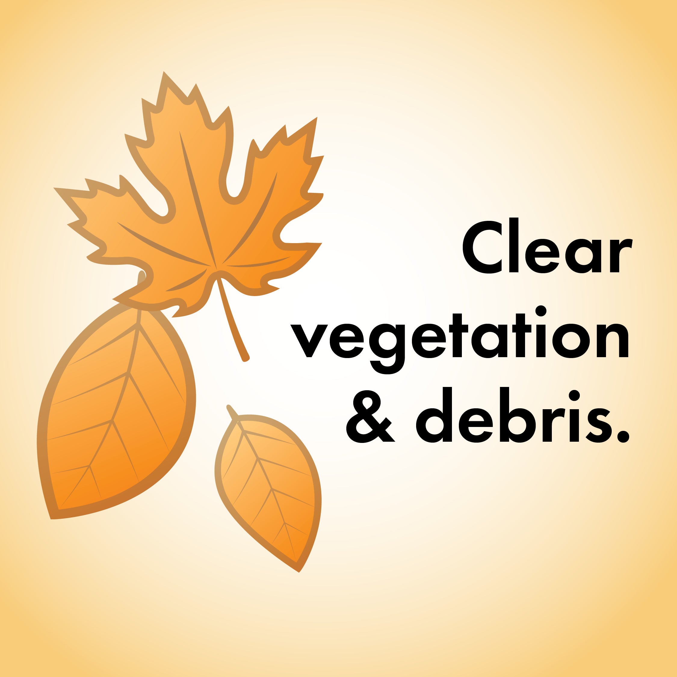 Debris