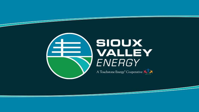 SVE logo for news articles