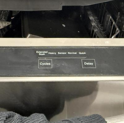 Dishwasher with delay