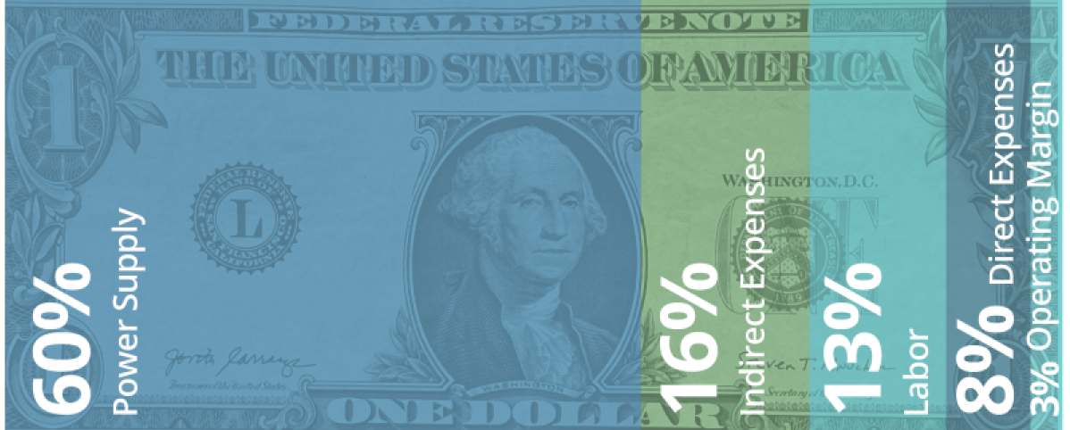 dollbillgraphic_expenseslo