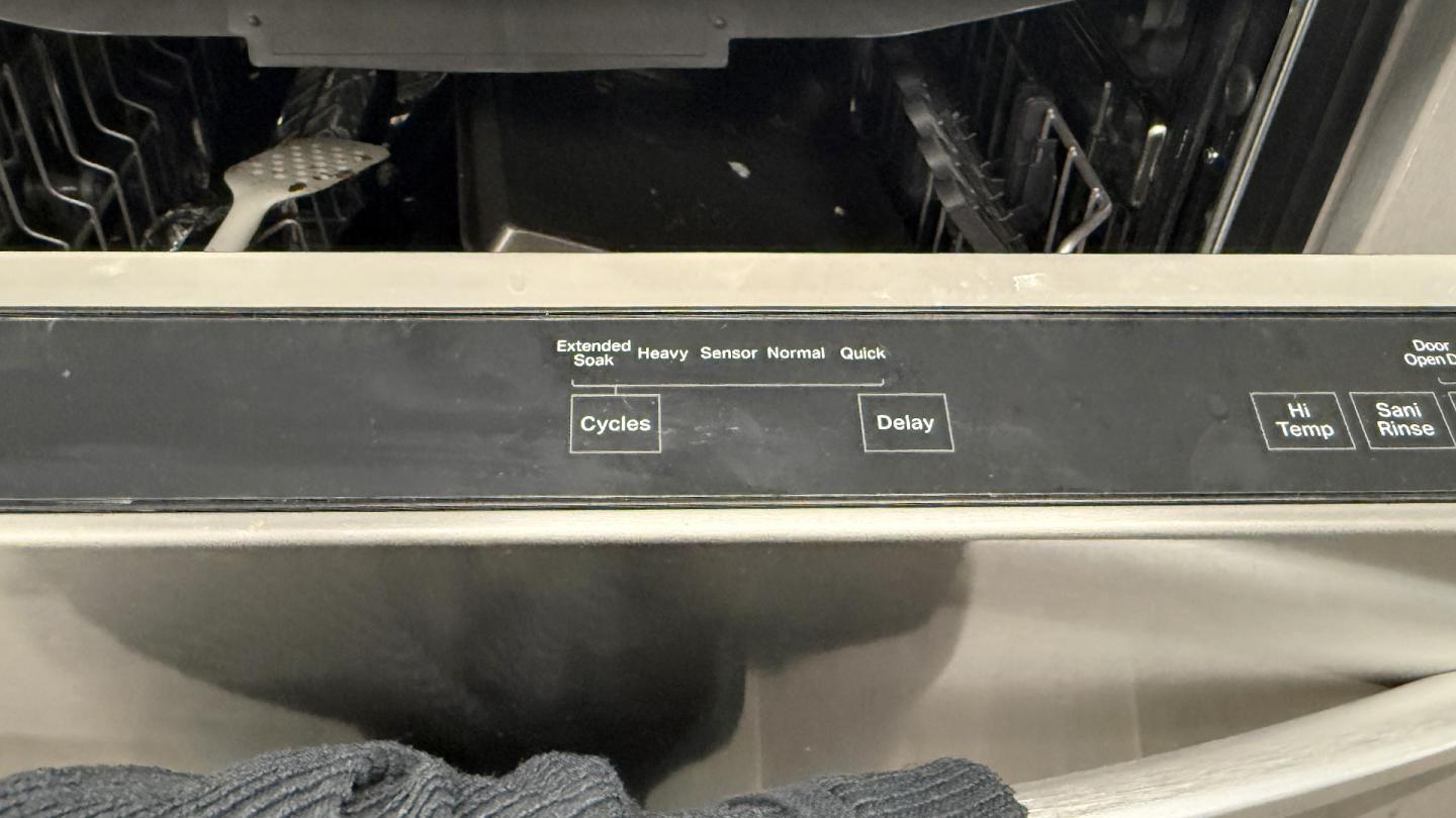 Dishwasher with delay
